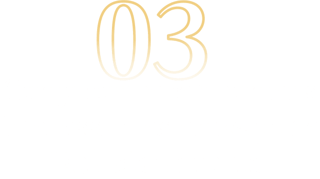 03