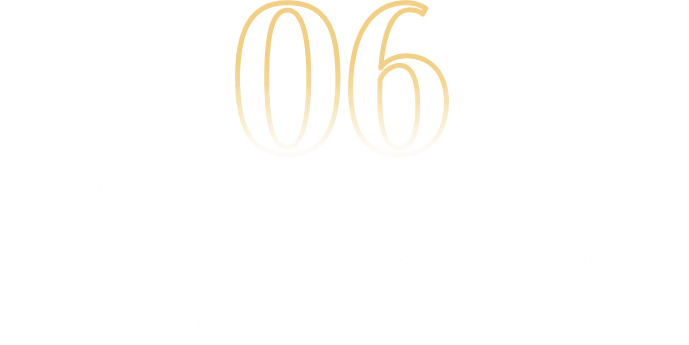 06